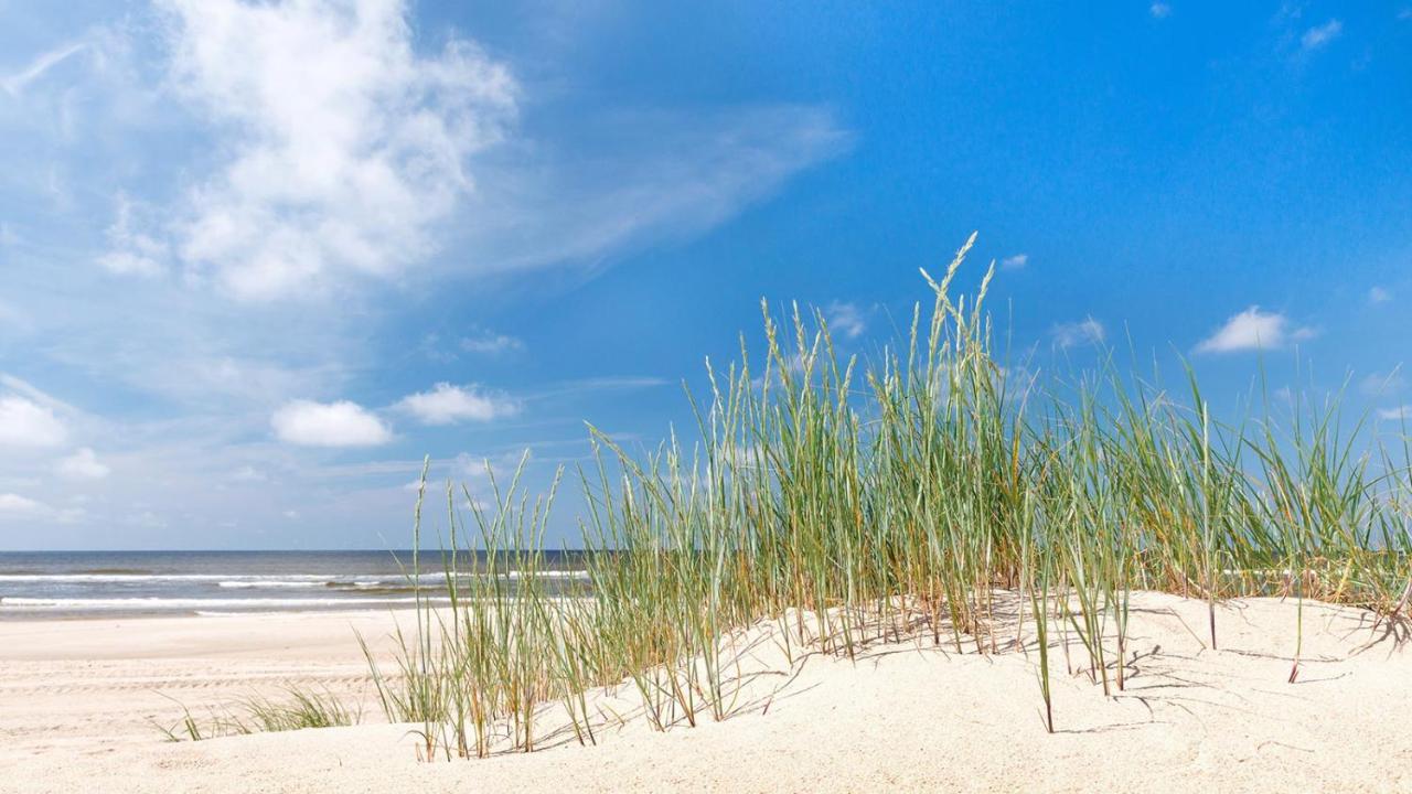 Direct Oceanfront Private Villa Overlooking Pool/Beach - South Forest Beach - Right Next To Coligny Plaza Hilton Head Island Exteriör bild